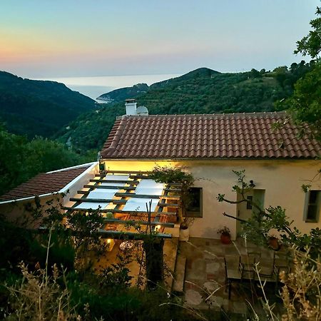 Olive Mill Cottage Skópelos Eksteriør bilde